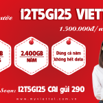Gói cước 12T5G125 Viettel dùng mạng cả năm không lo hết data